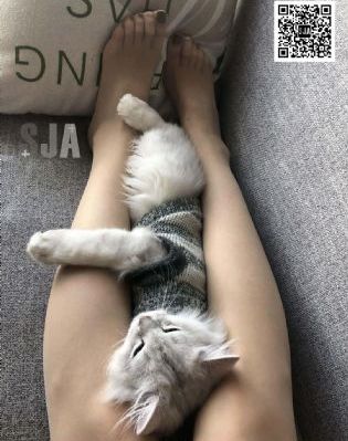 国产又粗又硬又猛又爽的视频_DVD免费观看